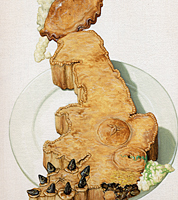 Radio Times illustration, UK